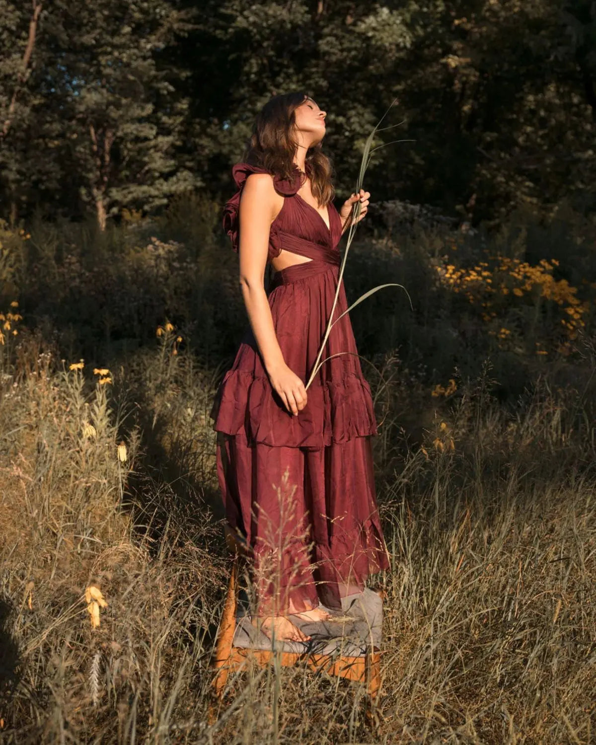 Dark Red Ruffle Tiered Cut-Out Chiffon Dress